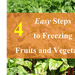 Four Easy Steps to Freezing Fruits and Vegetables