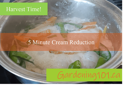 5 minute cream reduction